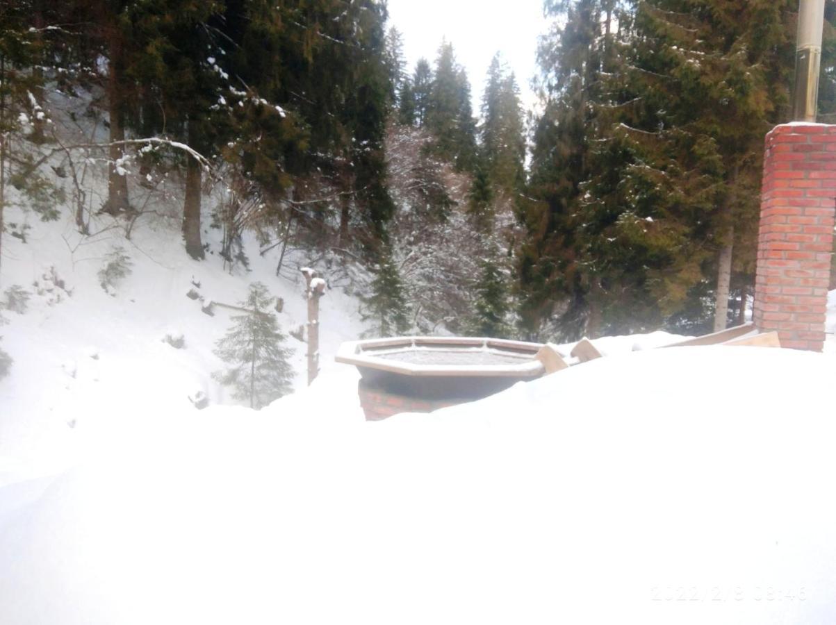 Bungalow In Mauntains With Chan Near The Forest سلافسكي المظهر الخارجي الصورة